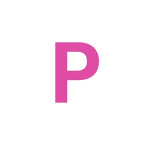 Painex Website Site Icon